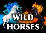 Wild Horses