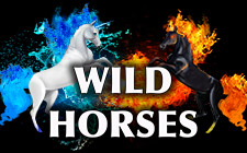 Wild Horses