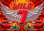 Wild 7